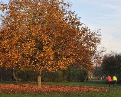 Braitbart_04 Braitbart_04