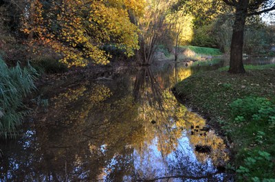 Braitbart_05 Braitbart_05