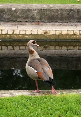 Vangansbergt_01 Vangansbergt_01