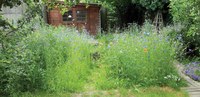 Une prime communale pour accueillir les eaux de pluie dans les jardins