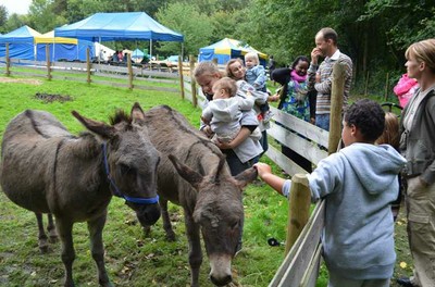 Ferme pour enfants stages