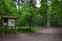 Le bois de Laerbeek