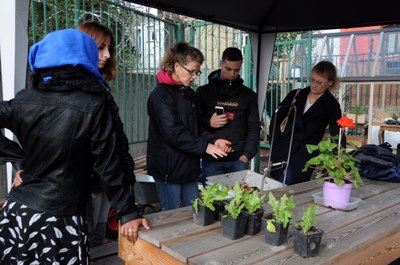 Magritte Comestible (4)