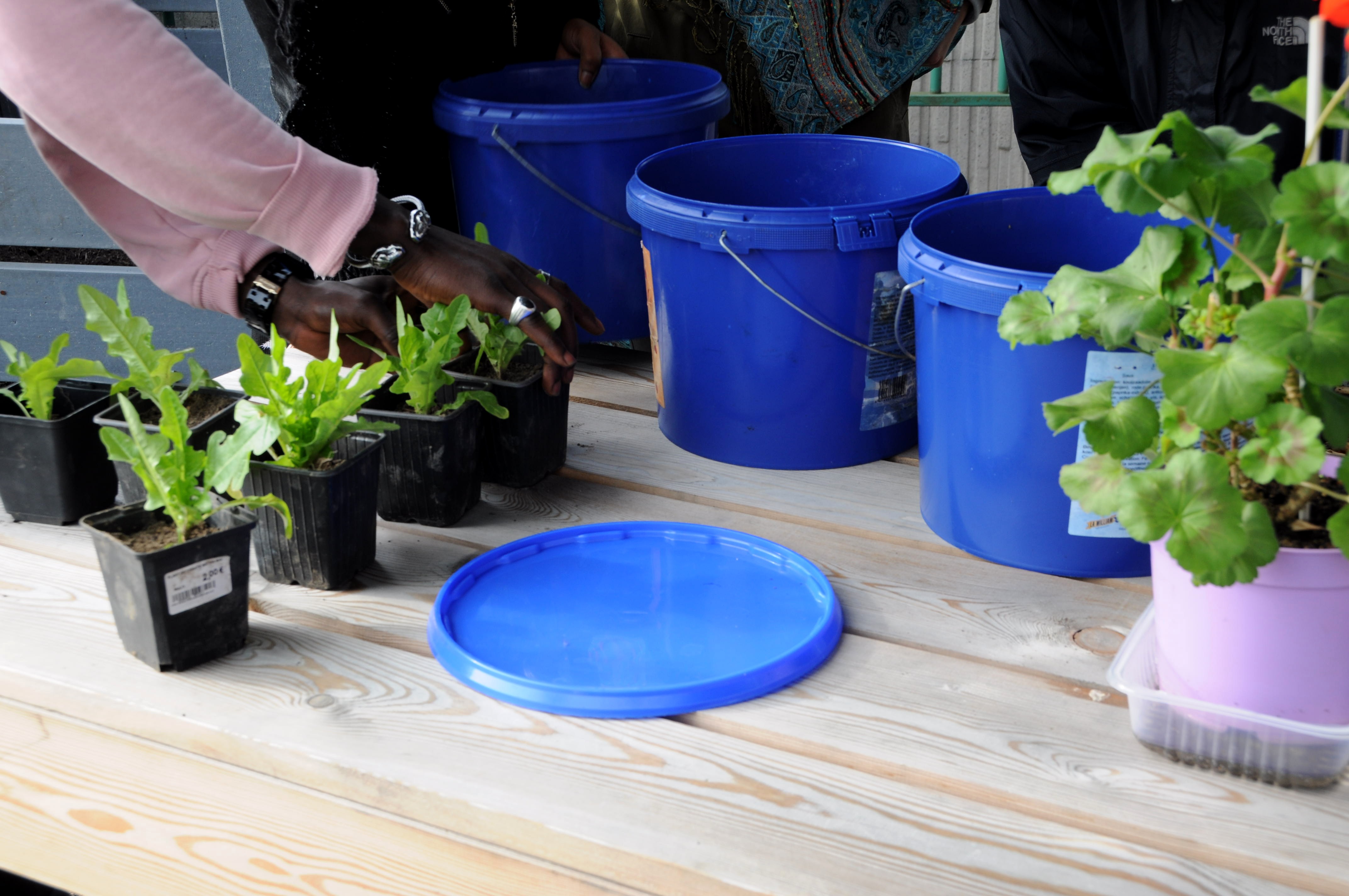 Magritte Comestible (5)