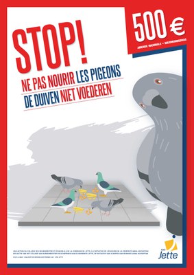 pigeons.jpg