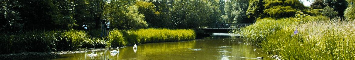 Banner Jette Boudewijnpark